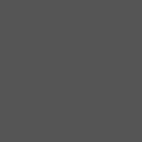 zeno grup optik