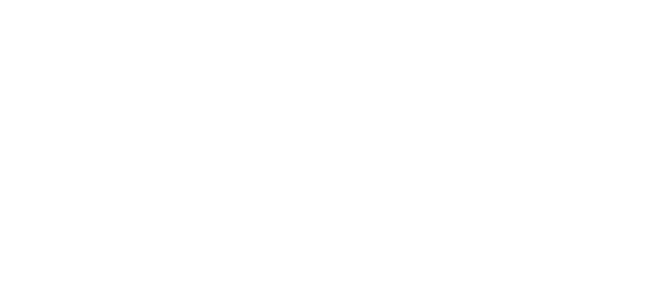 zeno grup